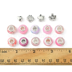 DIY Tibetan Style Alloy & Resin European Beads Making Finding Kits&nbsp;DIY-FS0006-78C