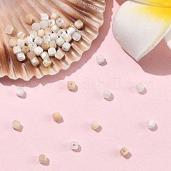 60Pcs 2 Colors Natural Trochid Shell/Trochus Shell Beads&nbsp;BSHE-YW0001-24