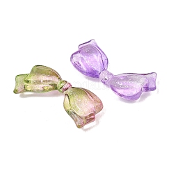 Two-Tone Transparent Acrylic Beads&nbsp;AC-CBAE44E-02A-01