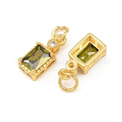 Brass Pave Cubic Zirconia Charms&nbsp;CU-CBA3D67-07G