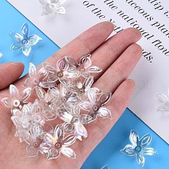 Transparent Acrylic Beads&nbsp;MACR-S373-102-C07