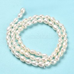 Natural Cultured Freshwater Pearl Beads Strands&nbsp;PEAR-E016-105