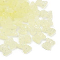 Frosted Transparent Acrylic Beads&nbsp;X1-OACR-P029-20B-03