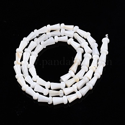 Natural Freshwater Shell Beads Strands&nbsp;SHEL-N026-213