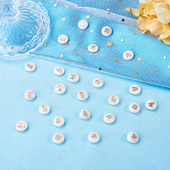 24Pcs 12 Styles Natural Freshwater Shell Beads&nbsp;SHEL-TA0001-42