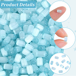 600Pcs Drawbench Style Glass Seed Beads&nbsp;SEED-PA0001-25A
