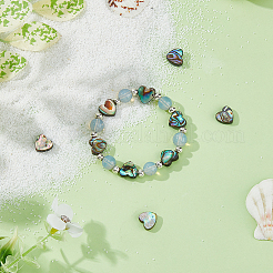 10Pcs Natural Abalone Shell/Paua Shell Beads&nbsp;SSHEL-FI0001-05