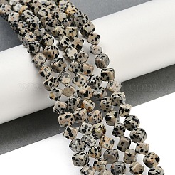 Natural Dalmatian Jasper Beads Strands&nbsp;G-A257-A17-01
