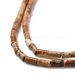Natural Picture Jasper Beads Strands&nbsp;G-M389-12
