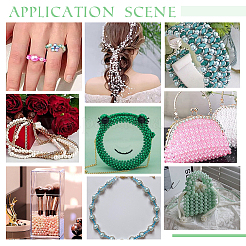 DIY Beads Kit&nbsp;DIY-PH0021-98B