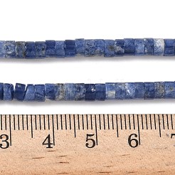 Natural Sodalite Beads Strands&nbsp;G-P468-19