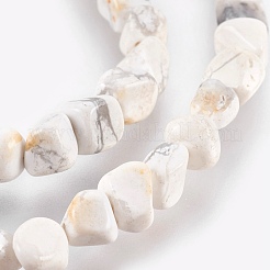 Natural Howlite Chips Beads Strands&nbsp;G365-34