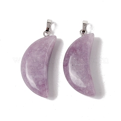 Natural Lepidolite Pendants&nbsp;G-Z022-03B