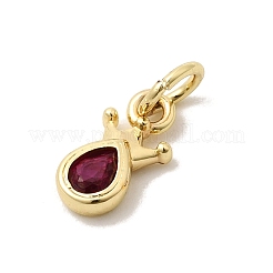 Brass Cubic Zirconia Charms&nbsp;KK-G554-01C-04