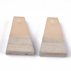 Resin & Wood Pendants&nbsp;RESI-S358-52E
