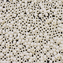 MIYUKI Delica Beads Small&nbsp;SEED-X0054-DBS0883