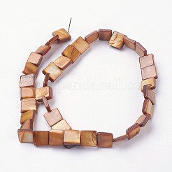 Natural Freshwater Shell Beads Strands&nbsp;BSHE-L036-26