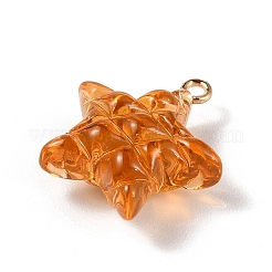 Transparent Resin Pendants&nbsp;LS-RESI-Z016-02B-LG