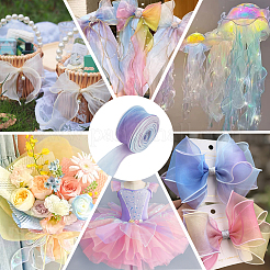 1 Bag Gradient Color Organza Ribbon&nbsp;OHAR-CY0001-01B