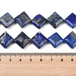 Natural Lapis Lazuli Beads Strands&nbsp;G-Z147-D01-01