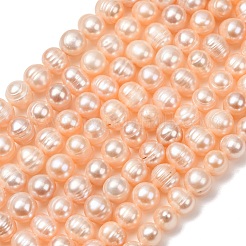 Natural Cultured Freshwater Pearl Beads Strands&nbsp;PA-CBABE82-16