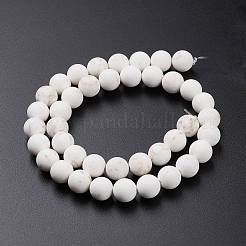 Frosted Round Natural Magnesite Beads Strands&nbsp;G-I168-07-8mm