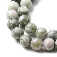 Natural Peace Jade Beads Strands&nbsp;G-E598-04B