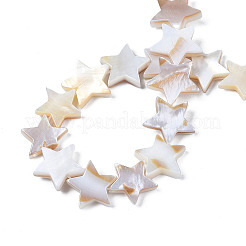 Natural Freshwater Shell Beads Strands&nbsp;LS-SHEL-S278-01C-01