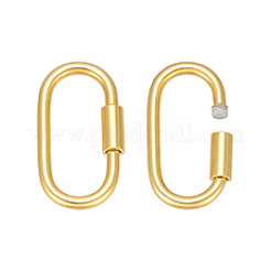 2Pcs 925 Sterling Silver Locking Carabiner&nbsp;STER-PH0007-88G