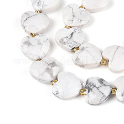 Natural Howlite Beads Strands&nbsp;G-P592-B18-01