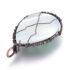 Abalone Shell/Paua ShellWire Wrapped Big Pendants&nbsp;SSHEL-L008-58R
