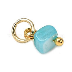 Dyed Natural Freshwater Shell Nuggets Charms&nbsp;PALLOY-JF04375-01