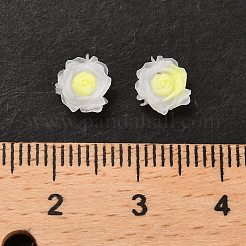Luminous Resin Decoden Cabochons&nbsp;RESI-K036-06G