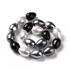 Shell Pearl Bead Strands&nbsp;BSHE-L034-04C