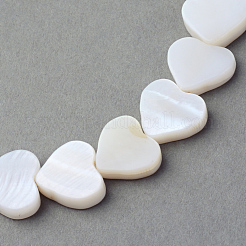 Natural Freshwater Shell Beads Strands&nbsp;X-SSHEL-Q296-40