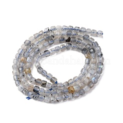 Natural Labradorite Beads Strands&nbsp;G-RM2025-C13-B
