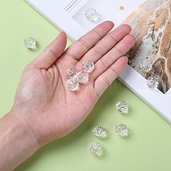 Transparent Acrylic Beads&nbsp;PL739