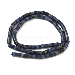 Natural Sodalite Beads Strands&nbsp;G-H230-10