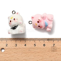 Opaque Resin Pendants&nbsp;RESI-G116-03