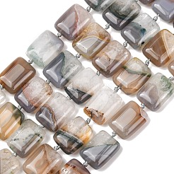 Natural Agate Beads Strands&nbsp;G-L654-F01-01