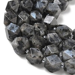 Natural Labradorite Beads Strands&nbsp;GG-CBAF8A8-A05-01