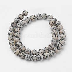Natural Dalmatian Jasper Bead Strands&nbsp;G-G735-68-8mm