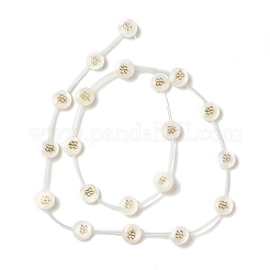 Natural Freshwater Shell Beads Strands&nbsp;BSHE-B005-13A