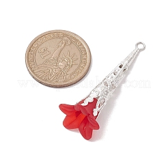 Acrylic Pendants&nbsp;PALLOY-TA00127