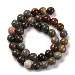 Natural Picture Jasper Beads Strands&nbsp;G-H037-A01-03