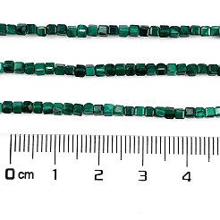 Natural Malachite Beads Strands&nbsp;G-C009-B24-01