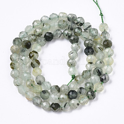 Natural Prehnite Beads Strands&nbsp;G-R462-045