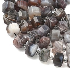 Natural Botswana Agate Beads Strands&nbsp;G-G453-G10-7x12mm