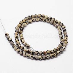Natural Dalmatian Jasper Beads Strands&nbsp;G-D840-49-4mm