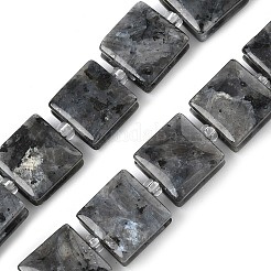 Natural Labradorite Beads Strands&nbsp;G-F802-B03-01